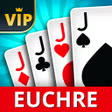 Euchre Offline - Single Player APK